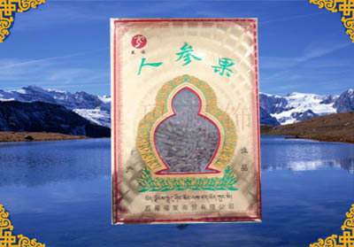 西藏人参果